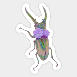 bug Sticker